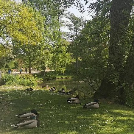 Am Mattheiser Wald * Trier