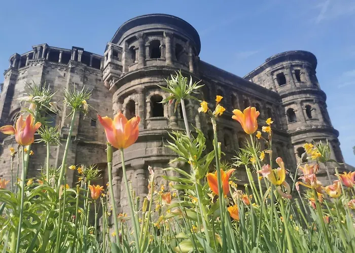 Am Mattheiser Wald Trier