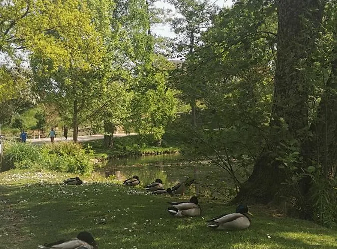 Am Mattheiser Wald * Treviri